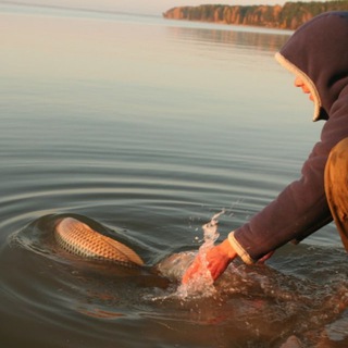 Поймал – отпустил (или съел)