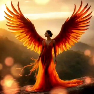 🦅 Flaming Fenix's Channel 🦅