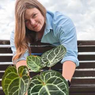 Цветомания - Все деньги в листья