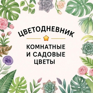 ЦветоДневник💐/комнатные и садовые цветы🪴