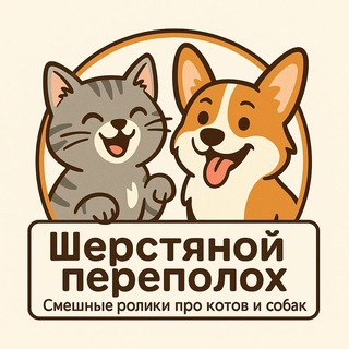 Шерстяной переполох 🐈🦮