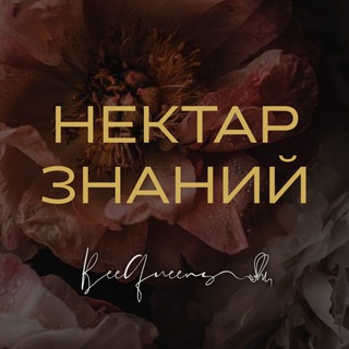 Нектар знаний | BQ 🐝
