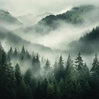 Лес Фриланса | удаленная работа | вакансии