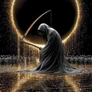 РОЗДАЧА ПЕТОВ