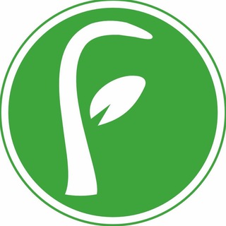 🍔 FreshCafe ☕️