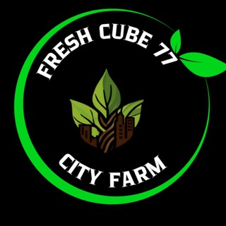 Сити Ферма FreshCube77