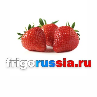 FrigoRussia 🇷🇺
