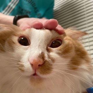 FunRing | Смешные кружки