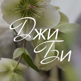 Цветы Нижнекамск | Шары | Доставка цветов в Нижнекамске| ДЖИБИ