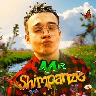 MrShimpanze