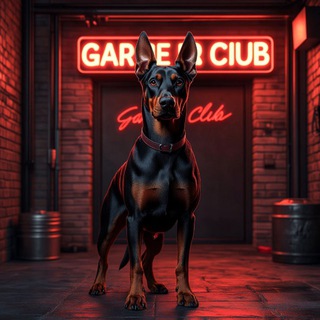 ПОКЕР/GARAGE Game Club | Не на деньги