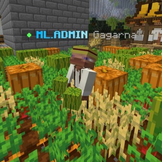 Будни гагарны