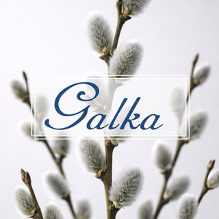 Galka студия красоты