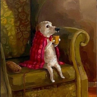 Истории игрового дня