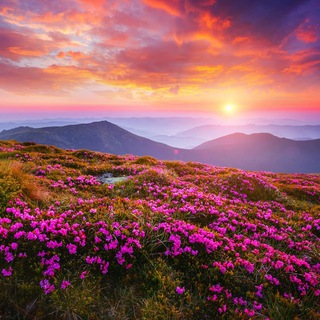 Красота природы