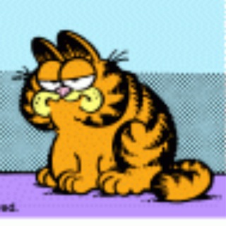 Garfield comics (Гарфилд)