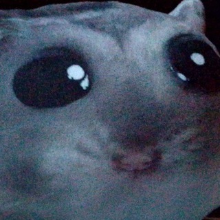 ˋˋ 𝗵𝗼𝗿𝗼𝘀𝗸𝗼𝗽𝗲 𝗯𝘀𝗱