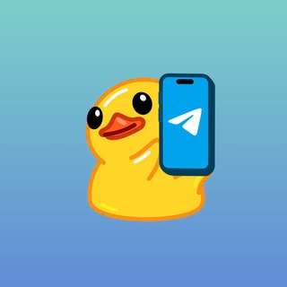 #DucksProjects / News