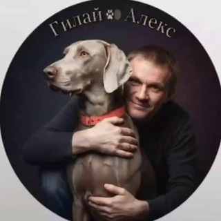 Гилай Алекс