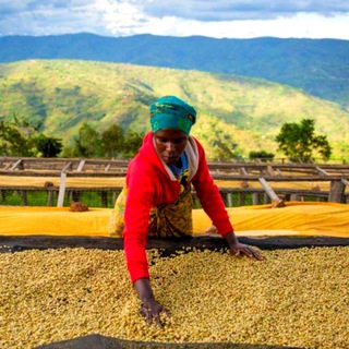 Gilgamesh: Кофе Инсайдер