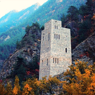 Умма Пророка ﷺ