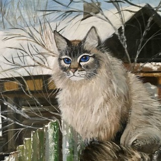 Литературный канал