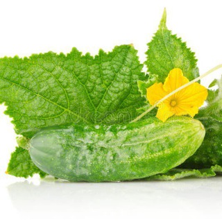 Негры и огурец 🥒