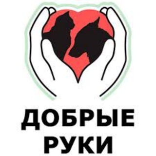 Добрые руки Ростова