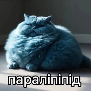 старый канал