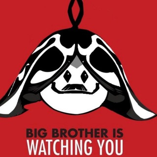 Аранарочная (GI | HSR | ZZZ | ВАХА? 👀)