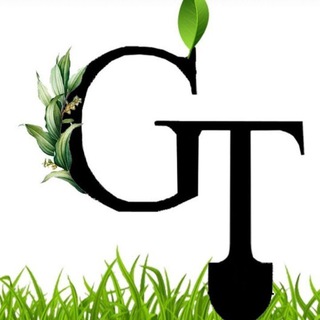 Green Team ландшафтный дизайн