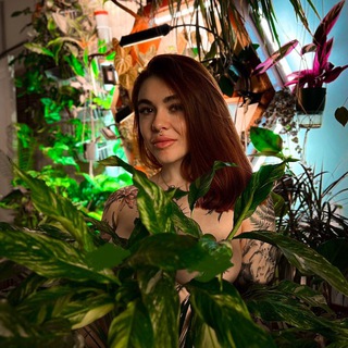 Ядовитый куст