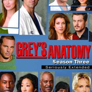 Анатомия страсти