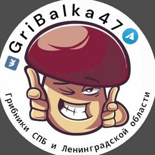 🍄‍🟫ГриБалка в СПБ и Пскове🫐|Ягоды|Грибы|Рыбалка