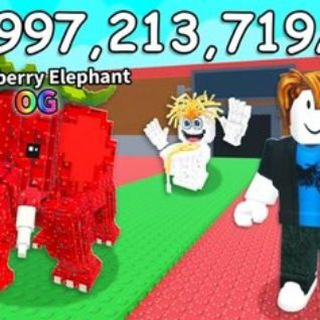 TemchikFomchik|Grow a garden|Steal a Brainrot