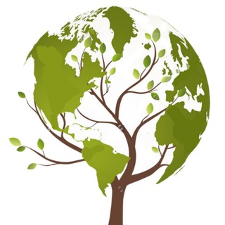 ЧАТ ГРУППА РОСТА СПБ