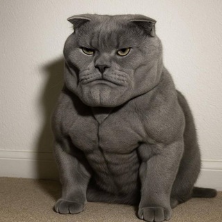 Мемоуполномоченный