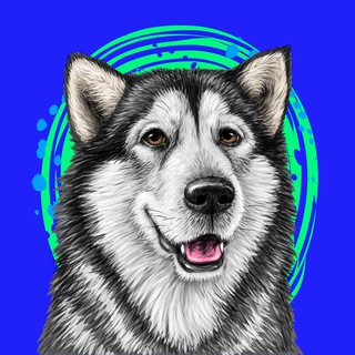 HUSMUT 🤩 H$MT Token 🤩 ХАСМУТ