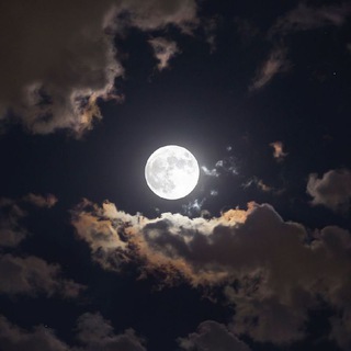 ۝وَذَكِّرۡ۝