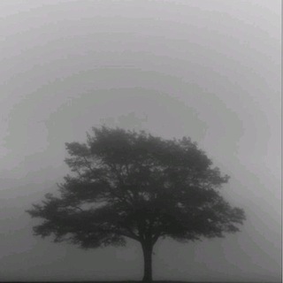 Халлзик дома