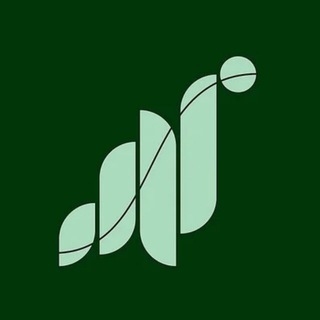 Hamster Kombat КЛЮЧИ+шифры+комбо+игры