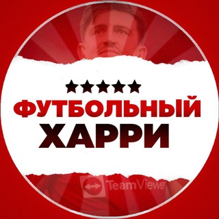 Футбольный Харри