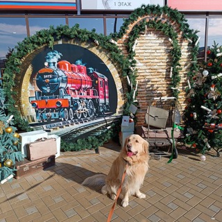 Lumos ⚡︎ / Harry Potter / Гарри Поттер / Я поттероманка