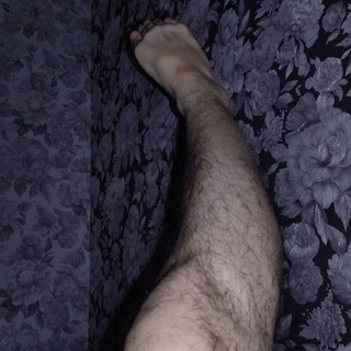 Новости HaruCardBot HaruProfessionsBot