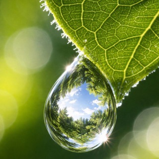 Жизнь в деталях на канале HealthPremium