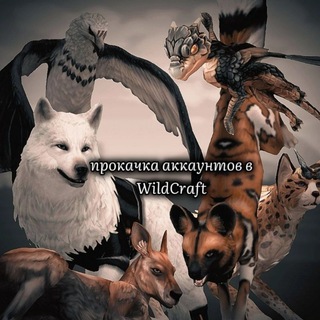 Прокачка аккаунтов в WildCraft.