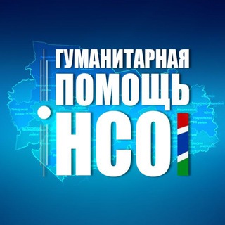 Гуманитарная помощь НСО