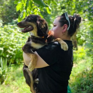 Четыре Лапы 🐕🐈