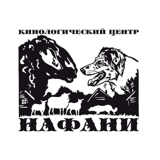 Нафани. Пастьба и Аджилити.