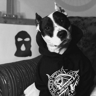 Nongrata 🙅💀👌(для ценителей Андерграунда) заебешься слушать !